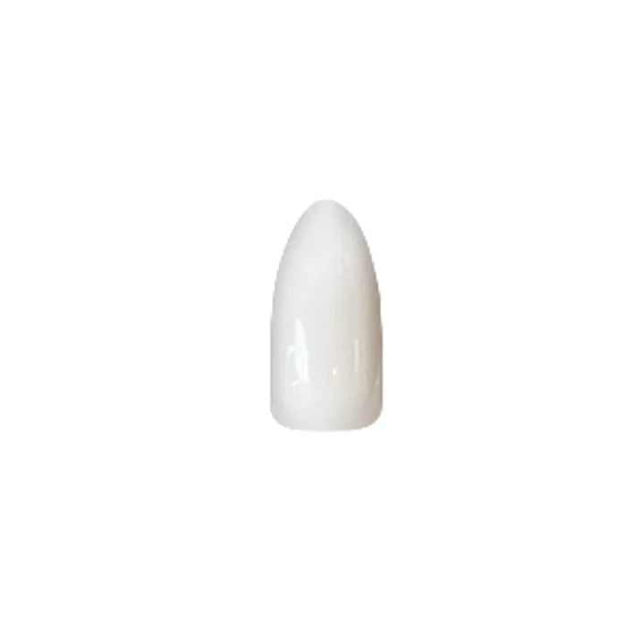 Chisel Acrylic & Dip Powder - American White