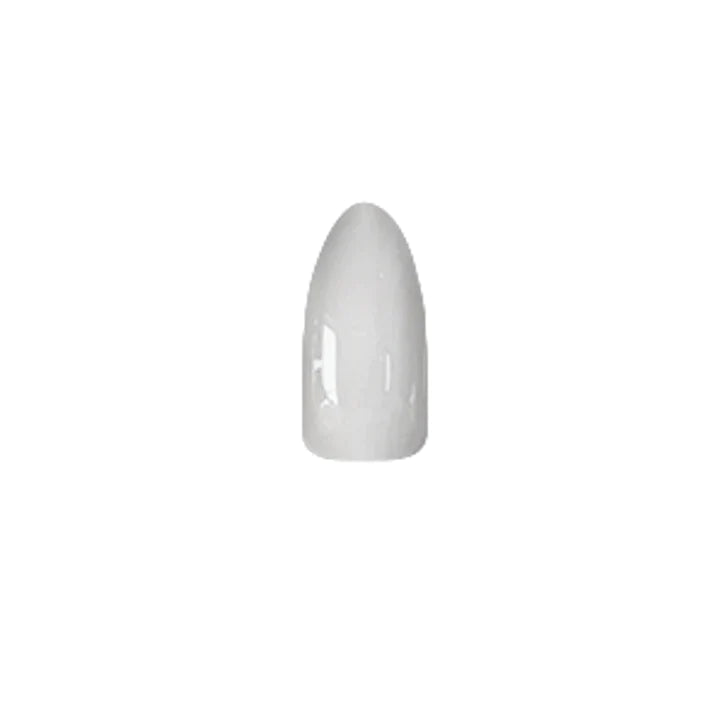 Chisel Acrylic & Dip Powder - Natural 12oz
