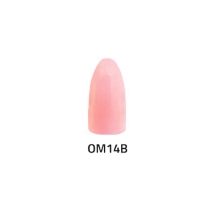 Chisel Acrylic & Dip Powder - Ombre 14B