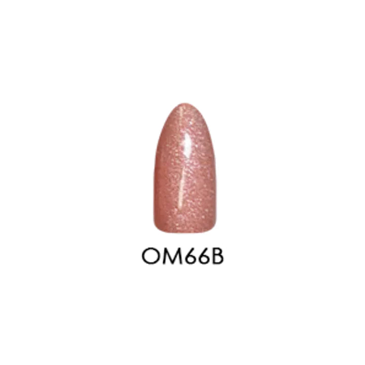 Chisel Acrylic & Dip Powder - Ombre 66B